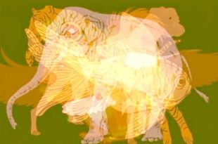 ব্যক্তিত্ব