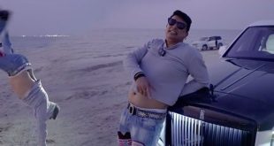 ডিগবাজি